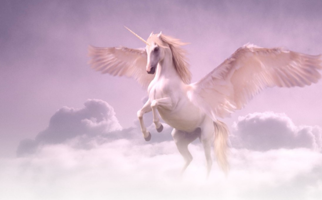 the unicorn project gene kim